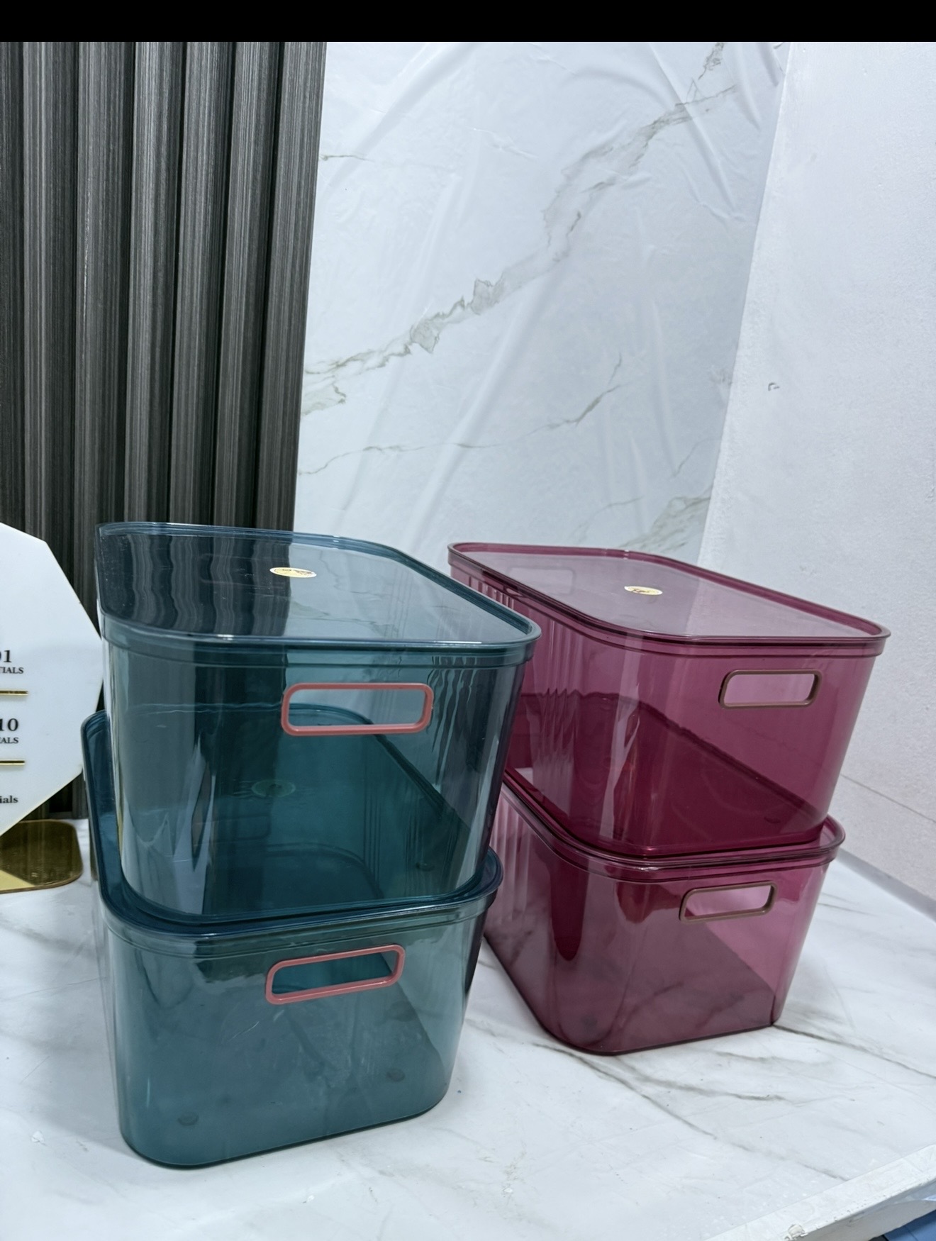 15L acrylic storage organizer